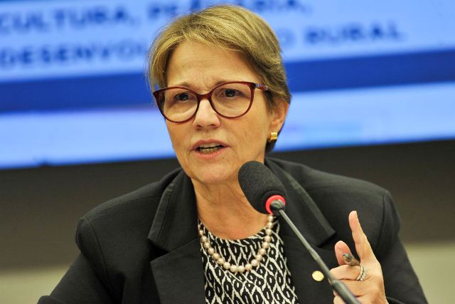 Enquanto o mundo desaquece, o Brasil vem crescendo devagar, mas de forma sustentável, disse a ministra