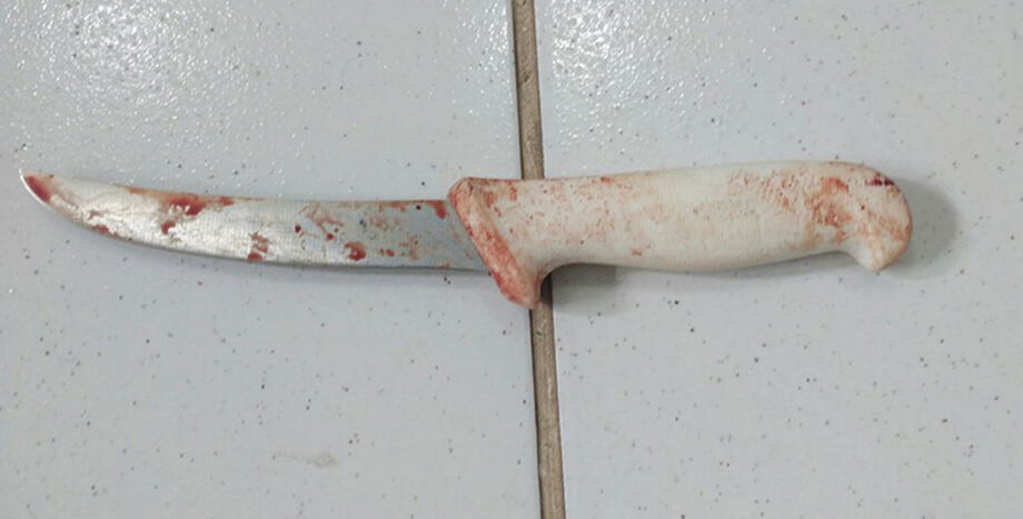Na casa a polícia encontrou duas facas com sangue, uma com cabo branco com 15 cm e uma com cabo de madeira com 16 cm