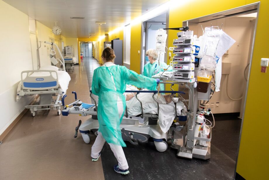 Além de médicos (clínico, intensivista e intensivista pediátrico), as publicações desta segunda-feira são também para farmacêuticos e técnicos de enfermagem.