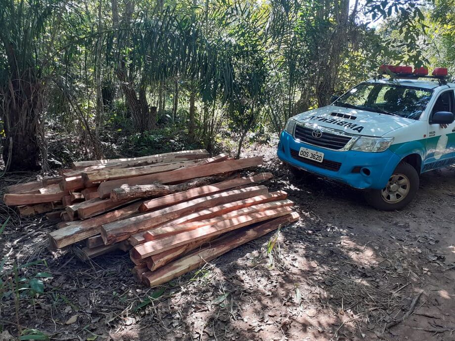 Polícia descobriu desmatamento em assentamento