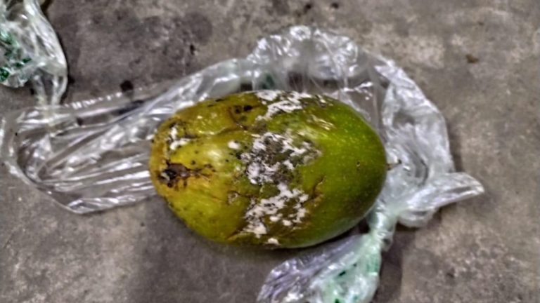Além do descarte e inutilização dos produtos, o supermercado foi autuado e terá um prazo de 10 (dez) dias para prestar esclarecimentos