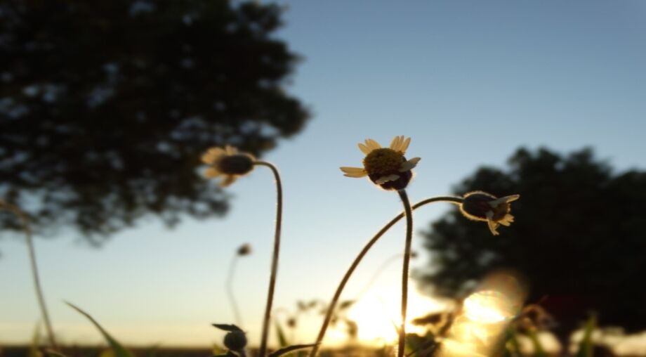 As temperaturas podem variar entre 18°C e 35°C, enquanto a umidade do ar fica entre 90% e 30%, considerado estado de atenção.
