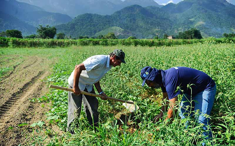 O Instituto de Pesquisa Econômica Aplicada (Ipea) avalia que mesmo no pior cenário no âmbito do impacto da pandemia do novo coronavírus, o Produto Interno Bruto (PIB) do setor agropecuário terá alta de 1,3% este ano, segundo divulgado nesta terça-feira, 2