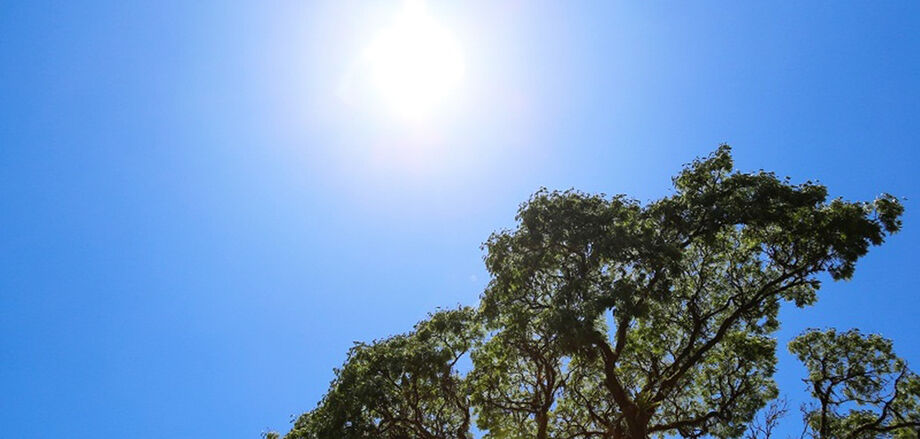 As menores temperaturas serão registradas na região sul e sudoeste, e as maiores na região do pantanal e centro norte.