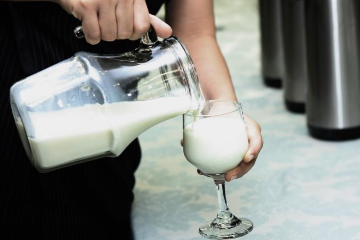 Cadeia produtiva do leite é a segunda maior da indústria alimentícia no Brasil