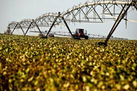 Na análise de Conchon, mesmo que apresente maior resiliência na comparação com outros setores, a agropecuária não deve passar ilesa dos reflexos econômicos da covid-19.