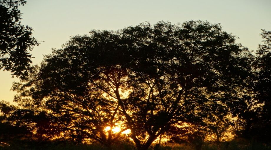 As temperaturas permanecem amenas no Estado, com mínima de 12°C e máxima de 29°C, com tendência a declínio.