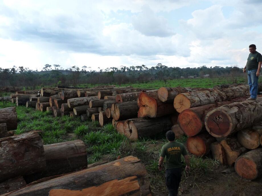 Esquema era composto por diversos núcleos com a participação de empresários madeireiros, caminhoneiros e pessoas dedicadas à operacionalização de extração dos produtos florestais