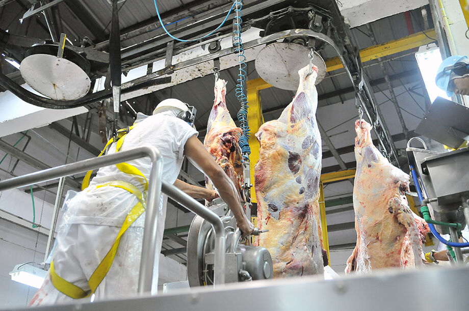 Produção na pecuária teve avanço significativo