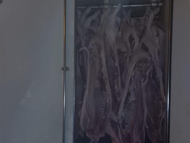 Com apoio dos profissionais do Agência Estadual de Vigilância Sanitária Animal e Vegetal (Iagro) e da vigilância sanitária as carnes foram apreendida para destruição
