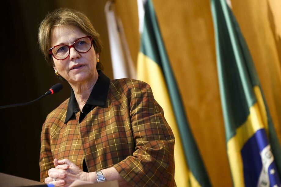 A ministra da Agricultura, Tereza Cristina