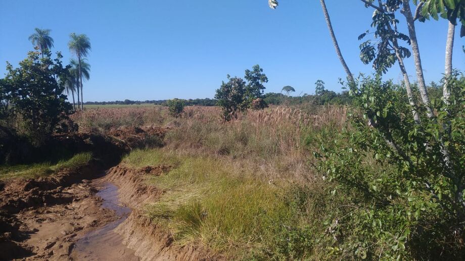Drenos foram feitos sem autorização ambiental