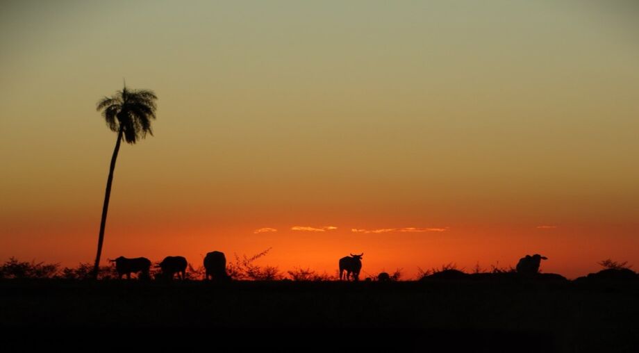 As temperaturas deverão permanecer acima da média neste inverno em grande parte de Mato Grosso do Sul.