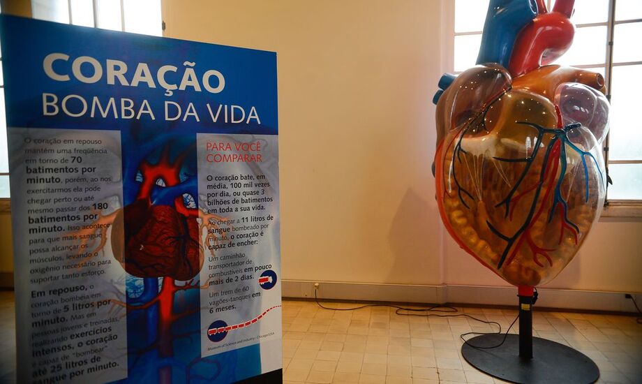 Os dados mostram que, na contramão de outras doenças cardíacas, mortes por síndrome Coronariana Aguda (Infarto) e Acidente Vascular Cerebral (AVC) registraram queda no período analisado, de 14% e 5%