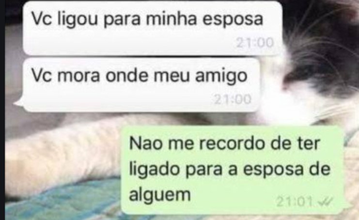 IMAGEM ILUSTRATIVA DE COMO SERIA