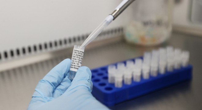 O coronavírus, além de provocar uma doença sistêmica que dificulta a vida dos médicos, também tem dado um olé na ciência. Pesquisas recentes lançaram dúvidas sobre como se dá a resposta imunológica dos pacientes infectados.