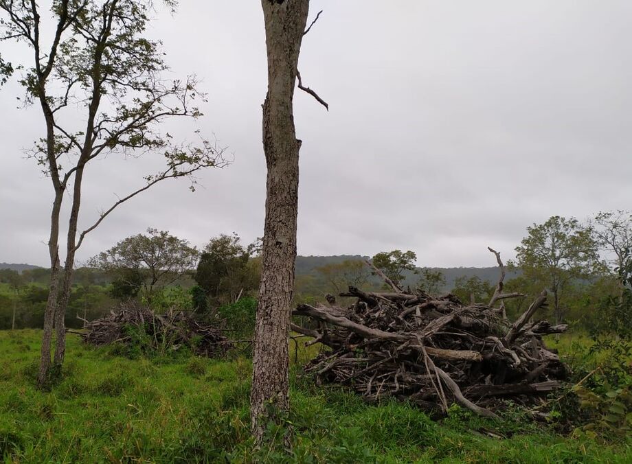 O infrator foi notificado a apresentar um Plano de Recuperação da Área Degradada e Alterada (PRADA) junto ao órgão ambiental estadual.