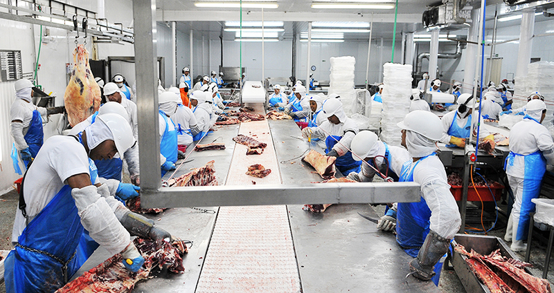 No retorno, a empresa garante que todos os funcionários passarão por teste de Covid-19