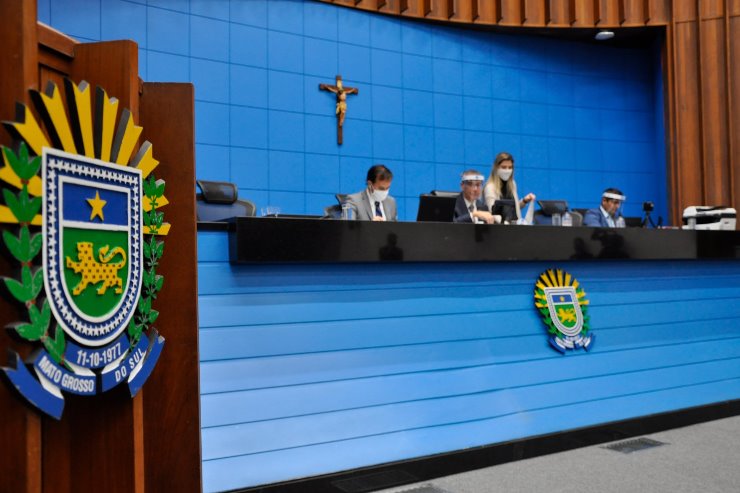 Se a proposta receber parecer favorável à sua tramitação na Casa de Leis pela Comissão de Constituição, Justiça e Redação (CCJR), e pelas comissões de mérito, sendo aprovada também nas votações em plenário, torna-se lei