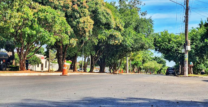 A Avenida Marinha  atravessa o bairro e liga as avenidas Gunter Hans e Nasrif Siufi
