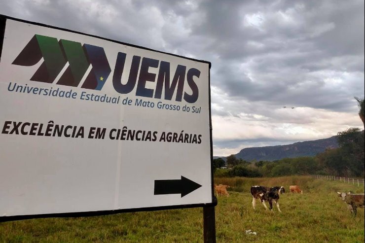 São várias as indicações de autoria de Felipe Orro para ofertar melhorias na infraestrutura da MS-450.