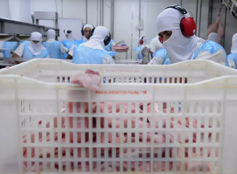 Segundo o diretor executivo da Associação Brasileira de Proteína Animal, Ricardo Santin, esses dados são equivocados e misturam diagnósticos pelo teste rápido de covid-19