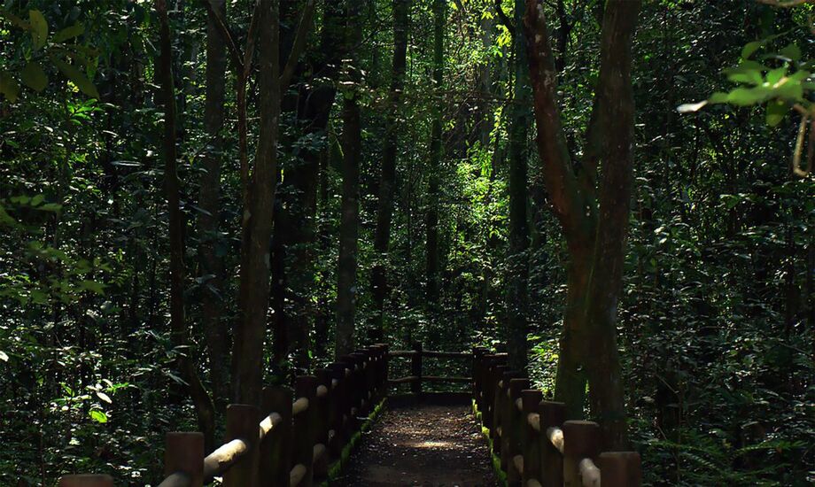 Os parques são administrados pelo Instituto Chico Mendes de Conservação da Biodiversidade (ICMBio)