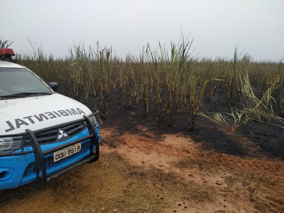 A Polícia Militar Ambiental alerta para que as pessoas evitem uso do fogo, especialmente, neste período seco.