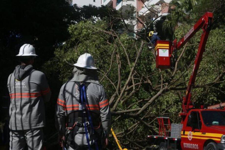 Ciclone deixou rastro de destruição em Santa Catarina