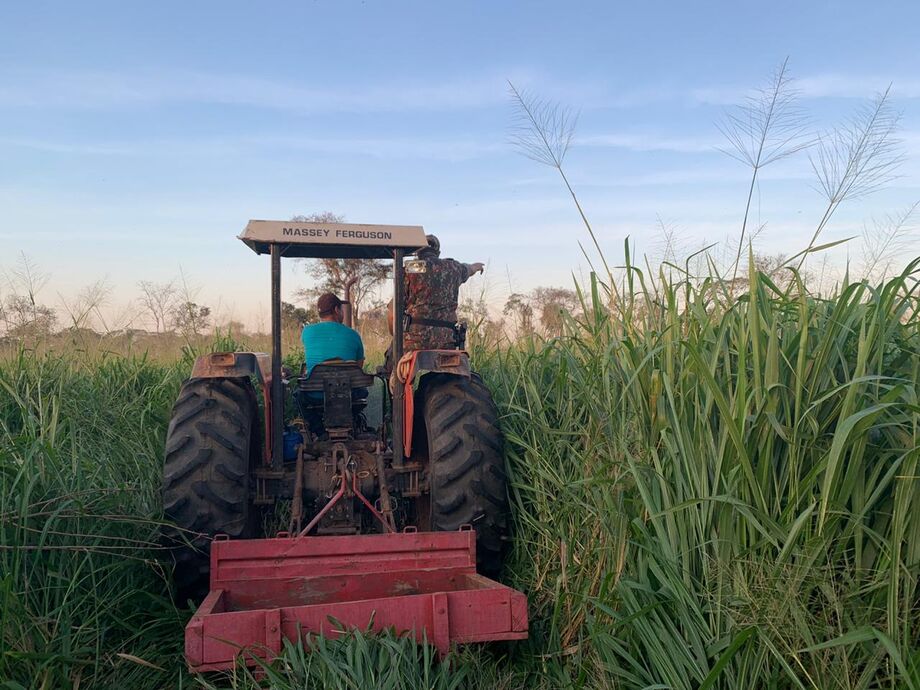 Imagens de satélite revelam desmatamento de 17,80 hectares e empresa agropecuária é de MS é multada