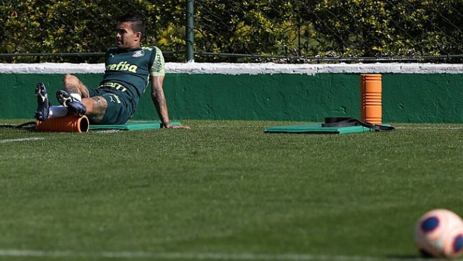 Dudu se aproxima de despedida do Palmeiras