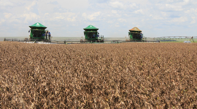 O plano prevê aos pequenos agricultores rurais recursos para financiamento em atividades agropecuárias