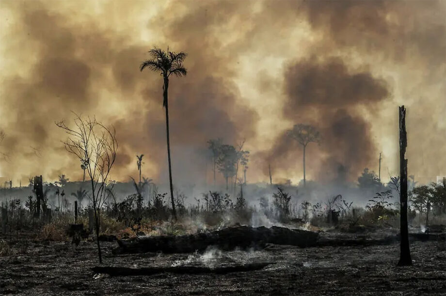 Em apenas um mês, foram derrubados na Amazônia o equivalente à área da cidade de Belém (Pará)