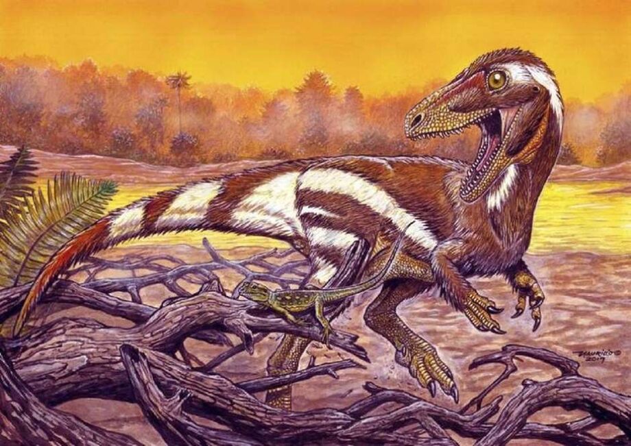 O novo dino é o Aratasaurus museunacionali - uma combinação de ara e ata, que na língua tupi significam nascido e fogo; com sauros, o sufixo grego para designar os lagartos.