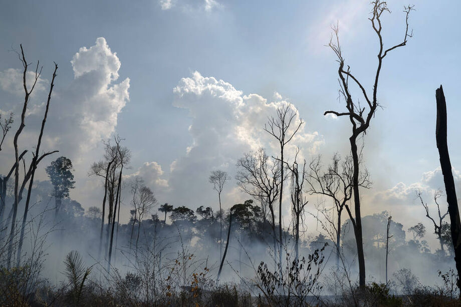 O maior risco está no sul no Pará, norte de Mato Grosso e Rondônia, justamente os locais que mais desmataram desde o ano passado.