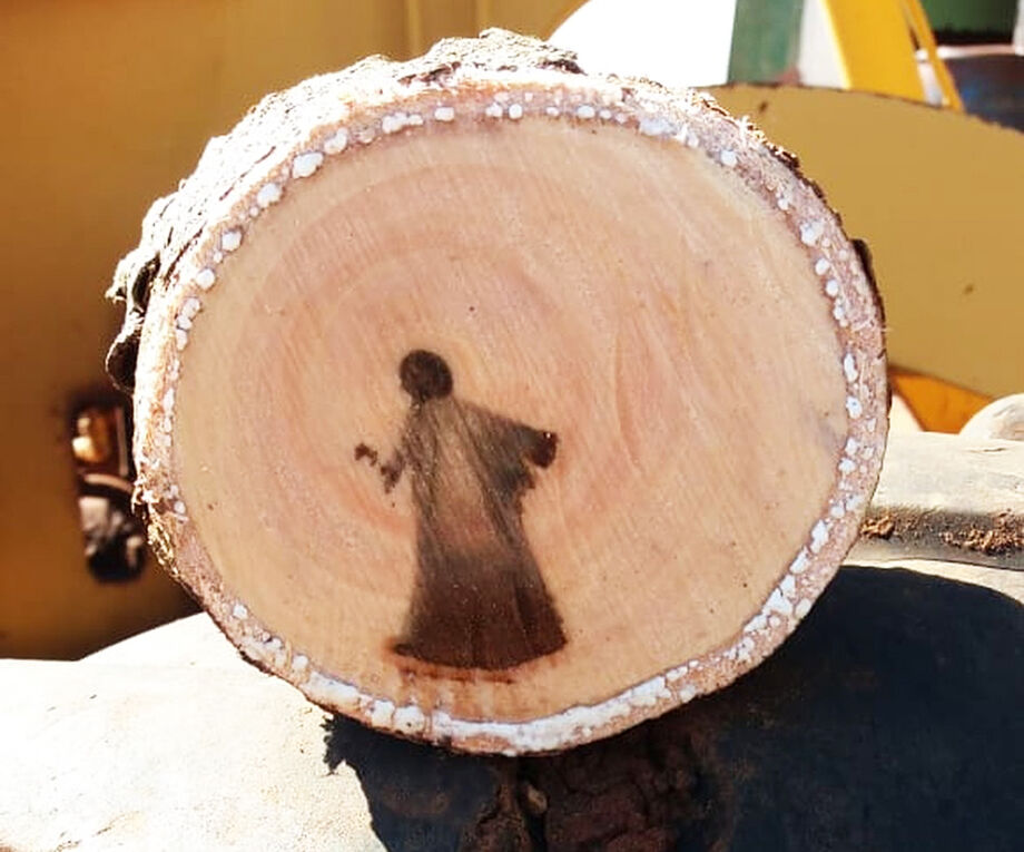 Na salgueiro cortada, a população atribuiu uma mancha como a “imagem de Jesus Cristo”
