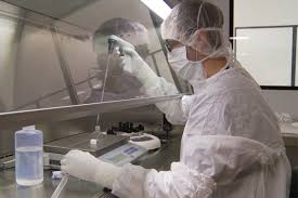 A companhia americana Biosig Technologies afirma em comunicado que testará em pacientes adultos o antiviral merimepodib, candidato ao tratamento da covid-19