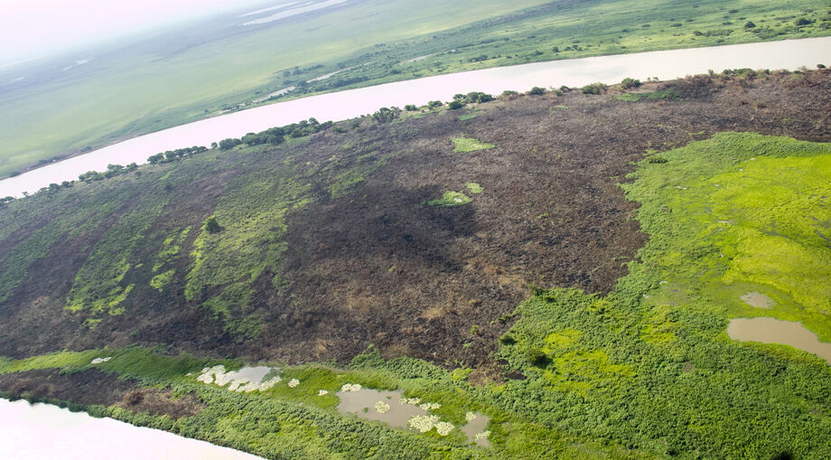 Fogo já destruiu milhares de hectares de vegetação nativa no Pantanal de Corumbá