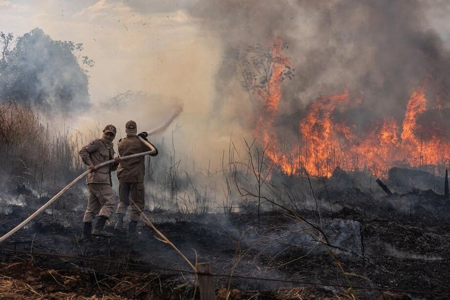O Pantanal vem sofrendo uma série de queimadas, havendo consequências graves para sua fauna, flora e população. Caso se repete na Amazônia