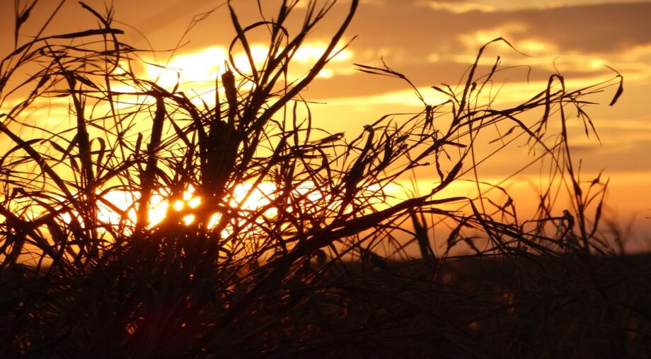 As temperaturas em Mato Grosso do Sul poderão variar entre de 14°C a 35°C