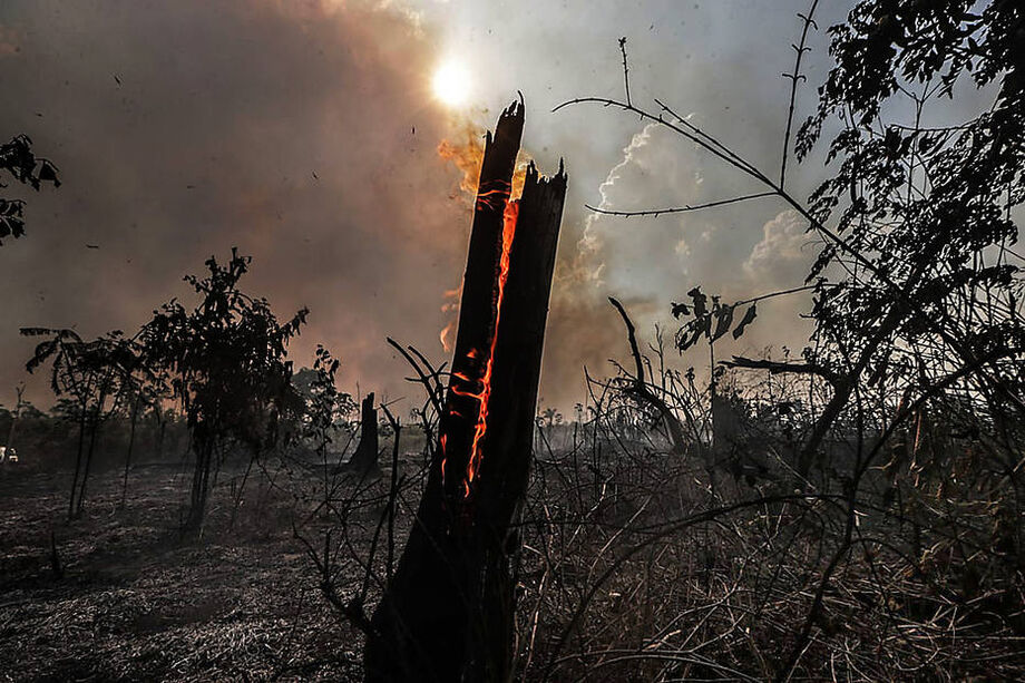 Alta do desmatamento na Amazônia entrou no radar dos investidores internacionais