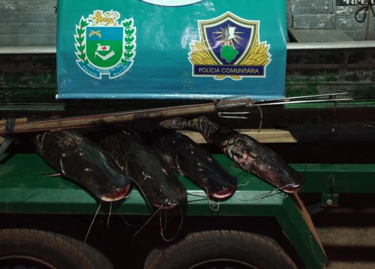 A pena é de um a três anos de detenção.