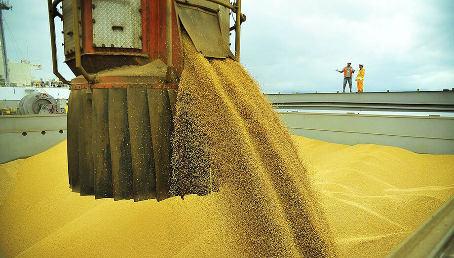 Exportações de soja avançaram 43% no primeiro semestre d