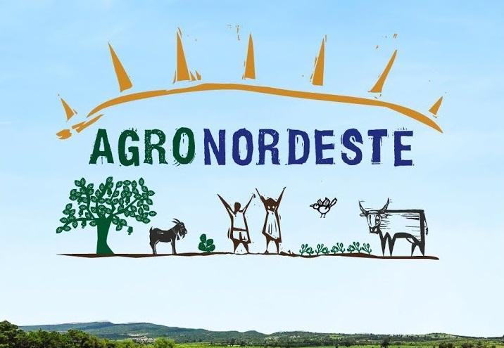 O AgroNordeste será coordenado pela Secretaria de Inovação, Desenvolvimento Rural e Irrigação