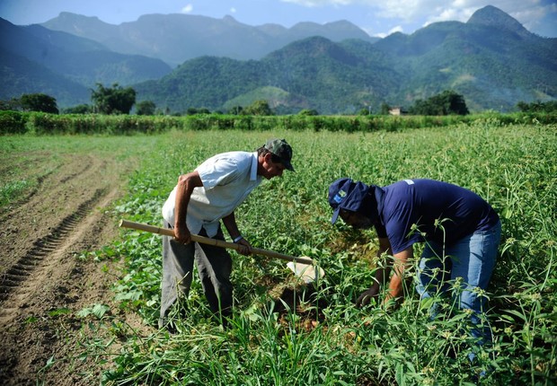 Câmara aprova projeto de auxílio à agricultura familiar durante a pandemia