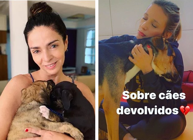 Claudia Ohana e Luisa Mell