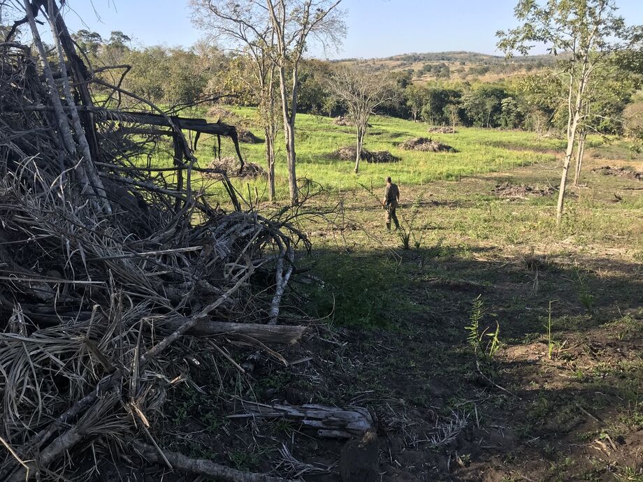 Ele também responderá por crime ambiental com pena de um a três anos de detenção