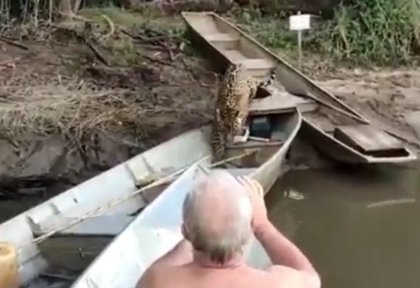 Por um lado, na legenda do vídeo o perfil descreve o ato como falta de respeito.