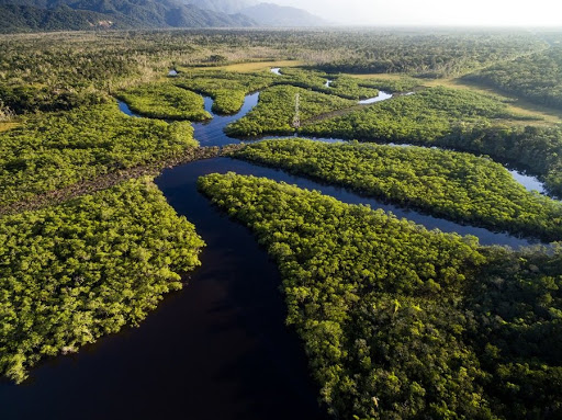 Floresta Amazônica