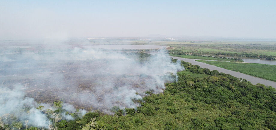Uma força-tarefa com cinco aeronaves e 70 homens reforçou, nesta segunda-feira, 27, a linha de frente de combate aos incêndios no Pantanal, em Mato Grosso do Sul